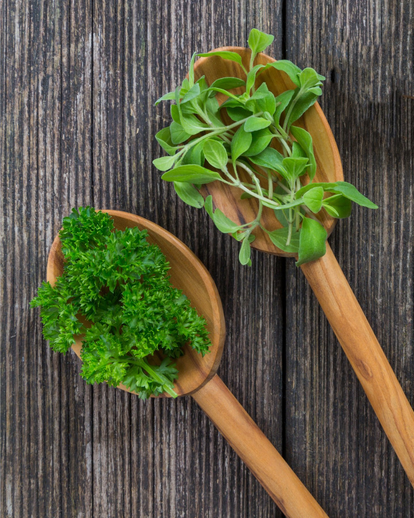 a marjoram and parsley mix can be a good thyme substitute