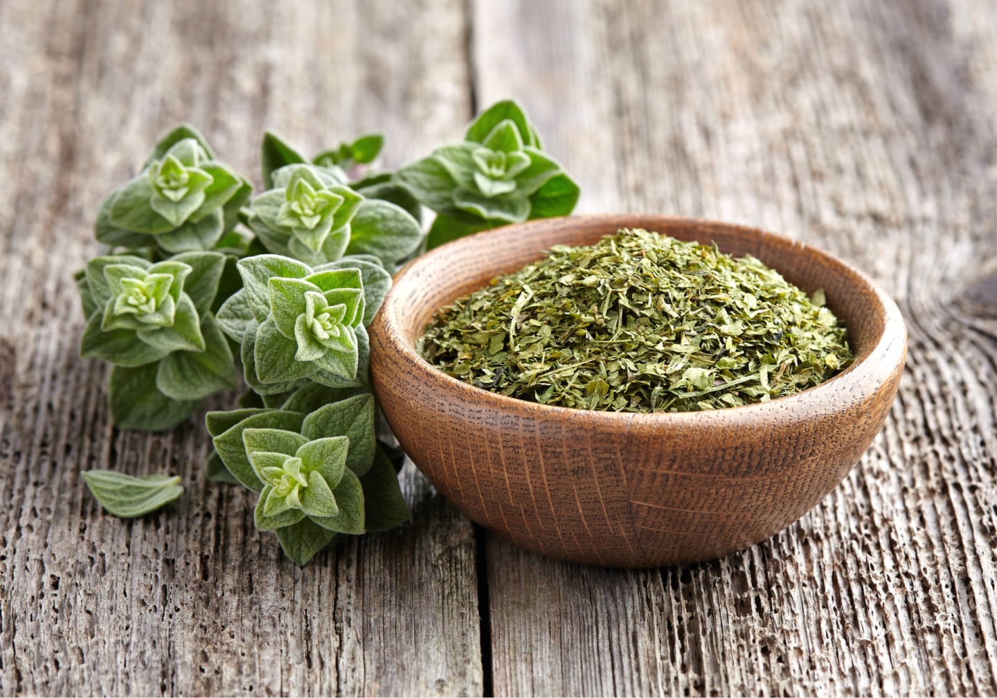 either fresh or dried oregano can be used as thyme substitute