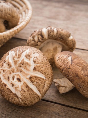 16 Best Shiitake Mushroom Substitutes for Cooking