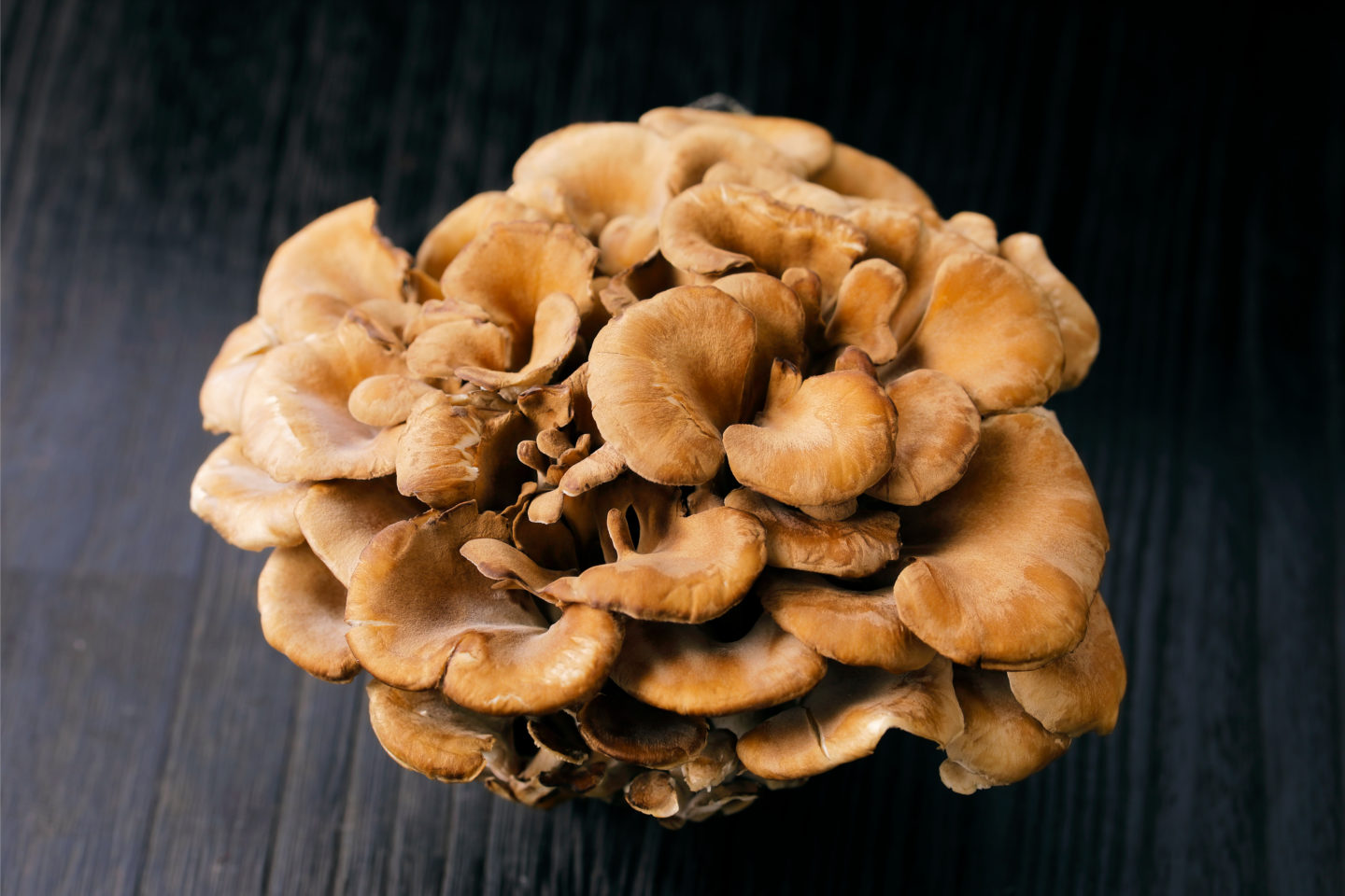shiitake-mushrooms-substitute-maitake-mushrooms