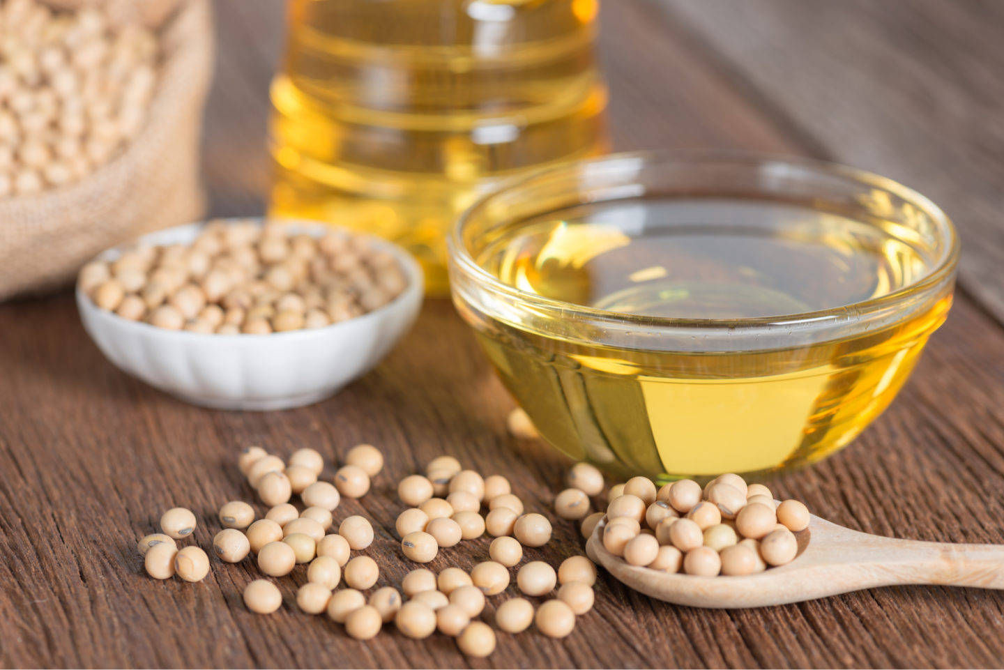 soybean oil pictured with soy beans