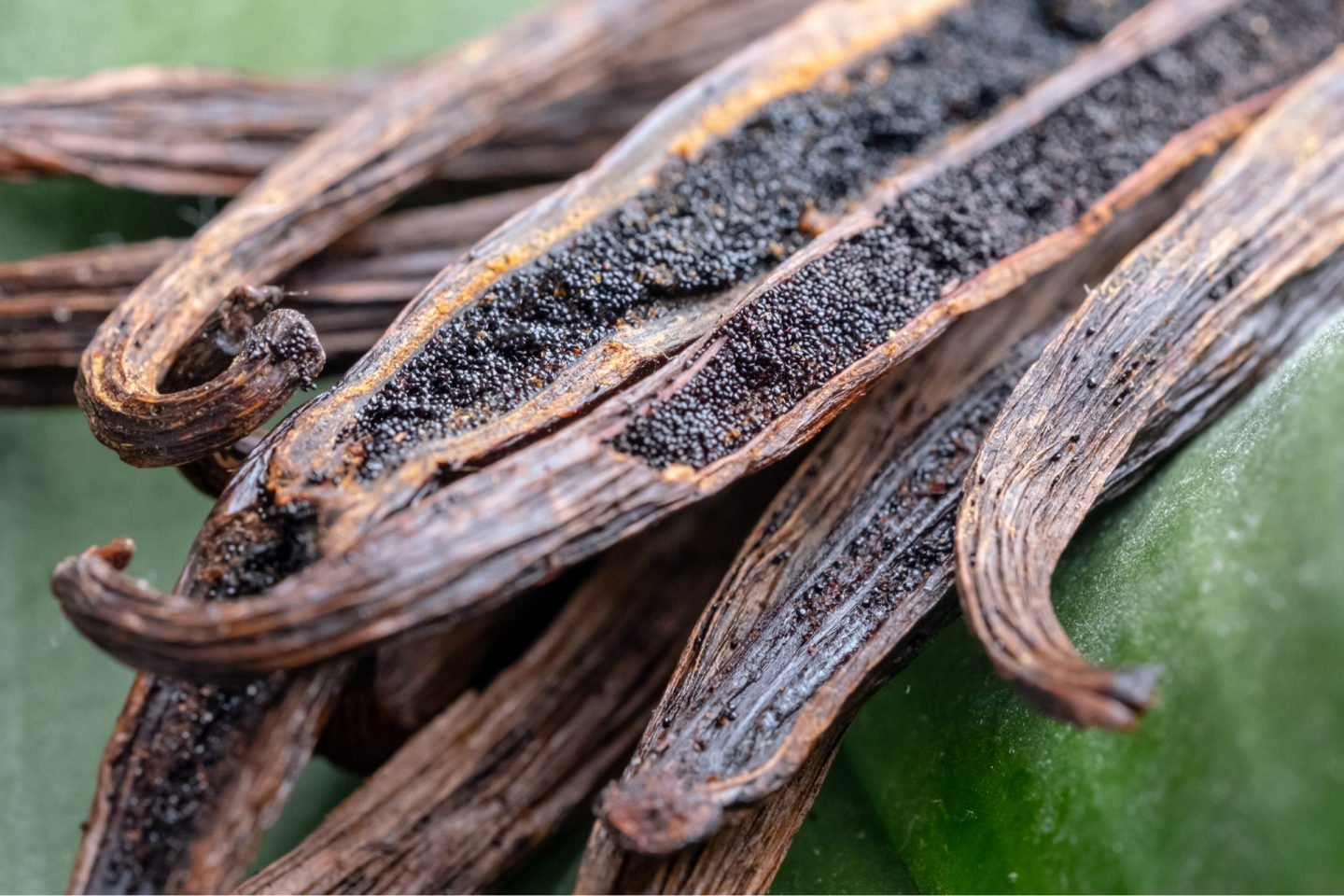 vanilla beans can be used as vanilla bean paste substitute