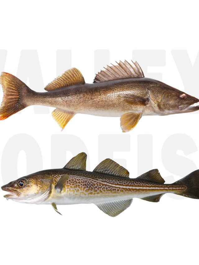 Pan fried walleye tastylicious