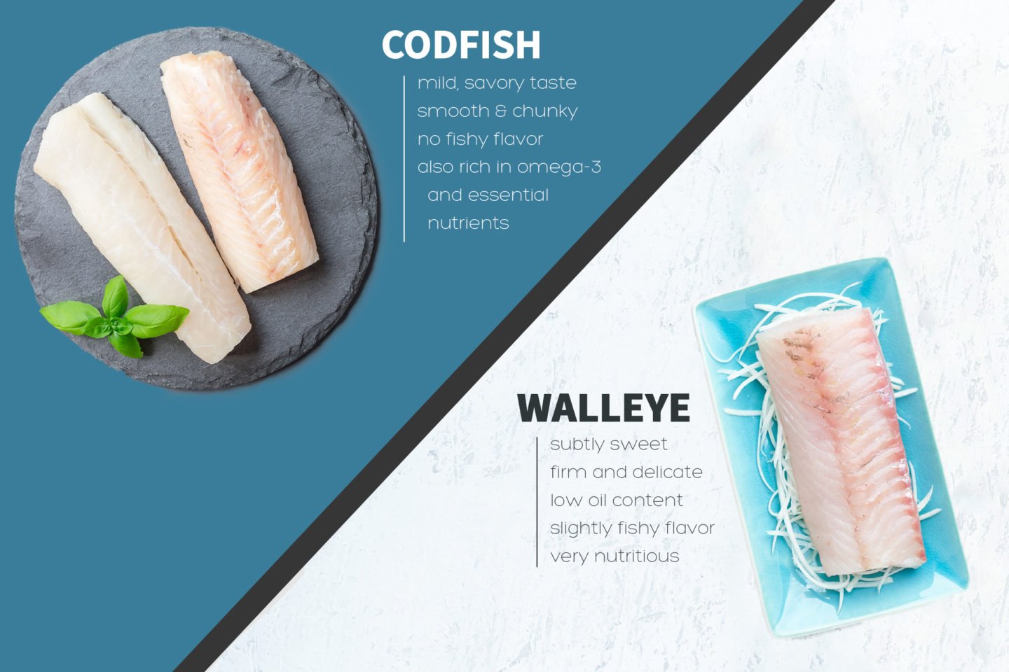 Walleye Vs Codfish