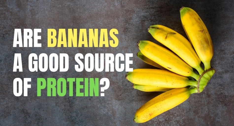 Are Bananas A Good Source Of Protein