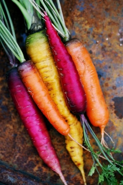 Are carrots low FODMAP?