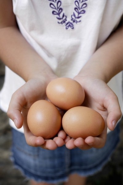 Are eggs low FODMAP?