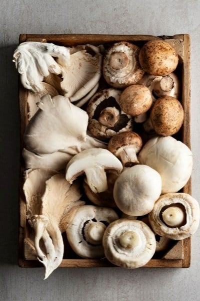 Are mushrooms low FODMAP?