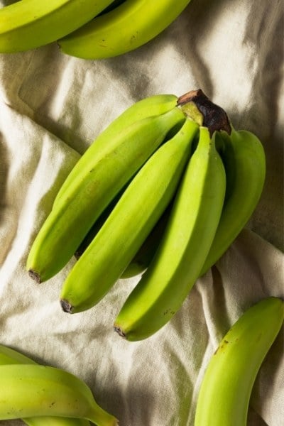 Eating unripe bananas has been known to improve insulin sensitivity