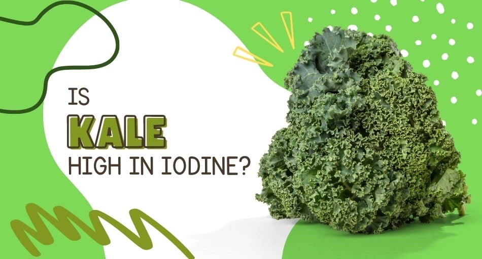 Is Kale High In Iodine