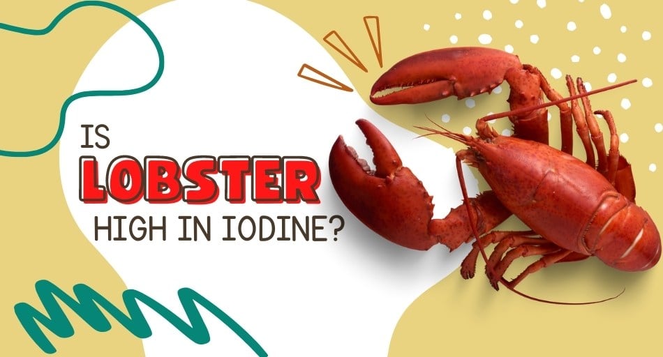 Is Lobster High In Iodine