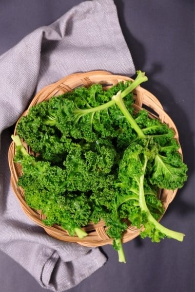 Is kale good for you?