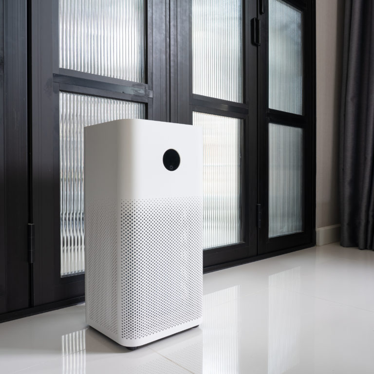 16 Best Air Purifiers for the Kitchen in 2024 Tastylicious