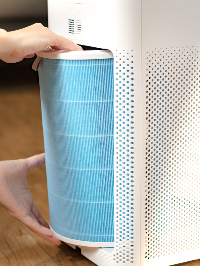 9 Best Large Room Air Purifiers (You Can Actually Afford) Tastylicious