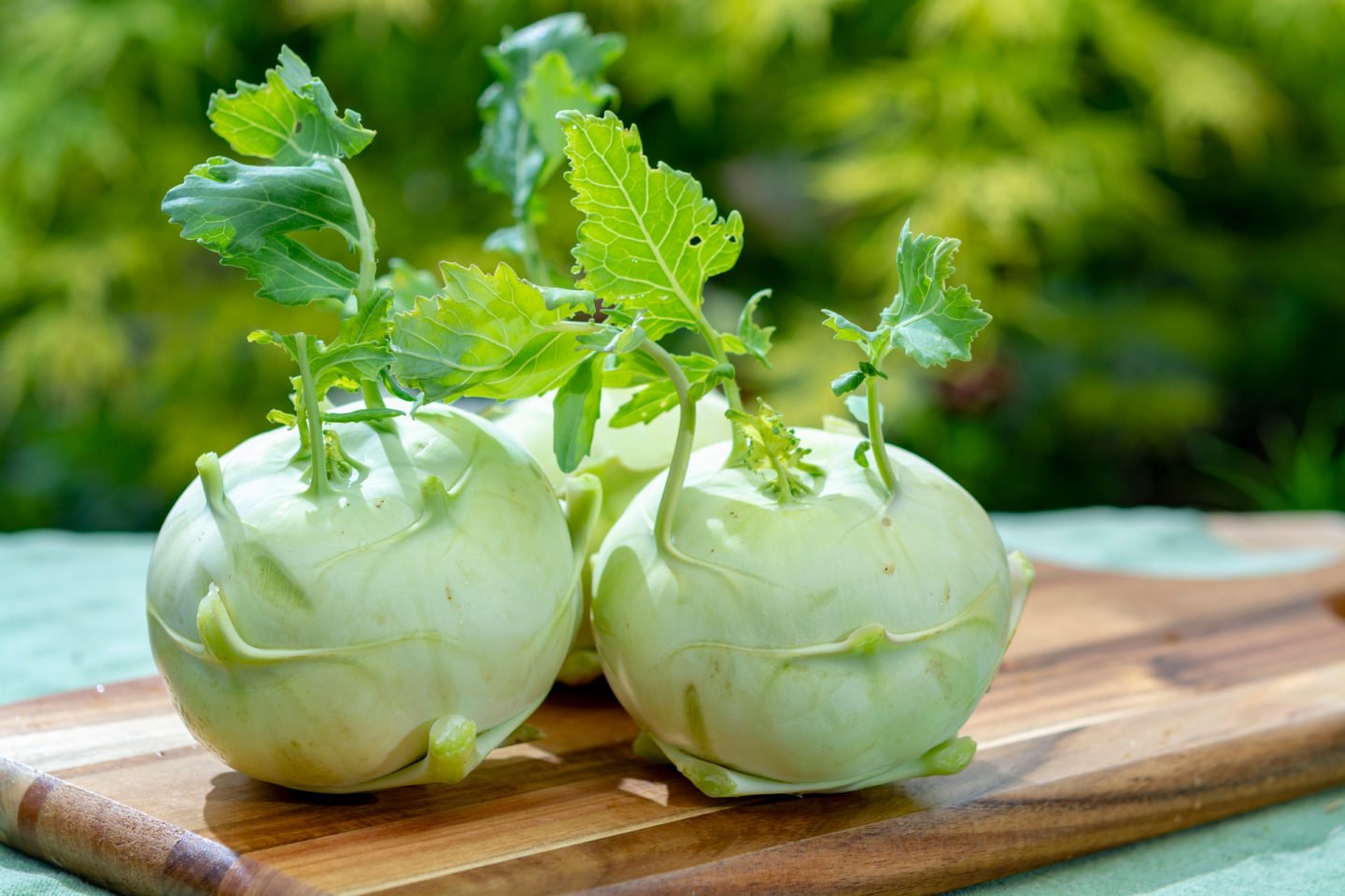 Fresh Raw Kohlrabi