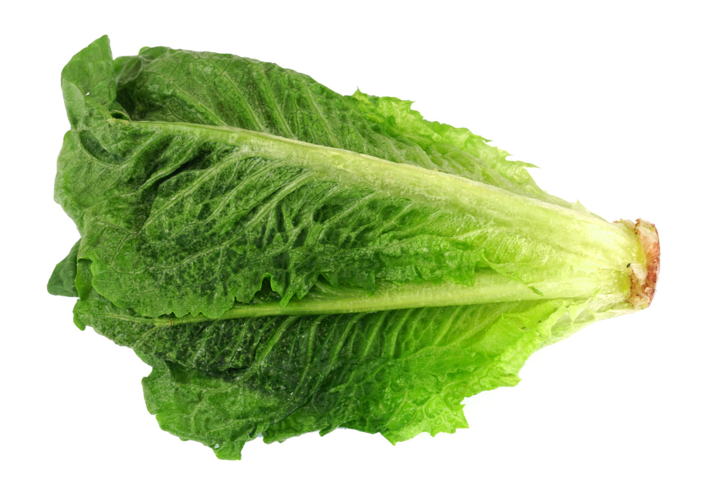 frozen romaine lettuce head