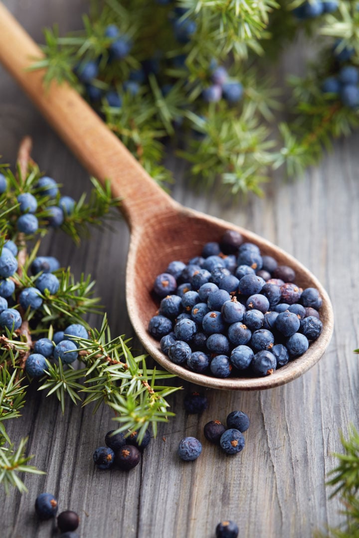 11 Best Juniper Berry Substitutes Tastylicious