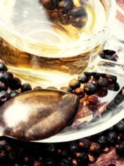 Juniper Berry Tea Benefits and Recipe