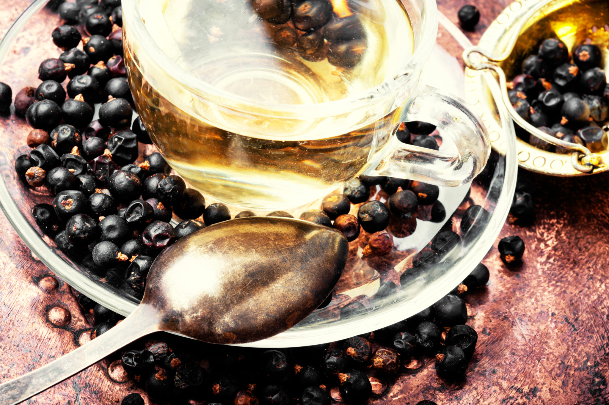 Juniper Berry Tea Benefits and Recipe Tastylicious