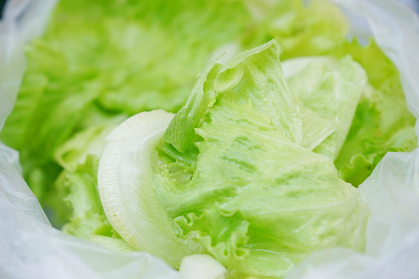 Lettuce Leaves In A Bag