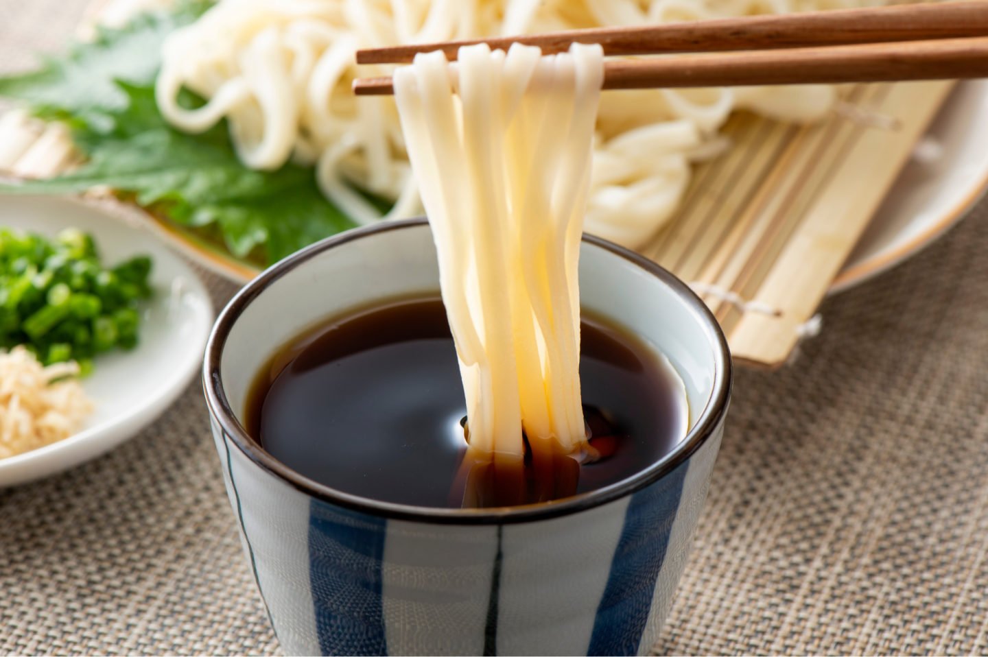 Mentsuyu Sauce With Udon