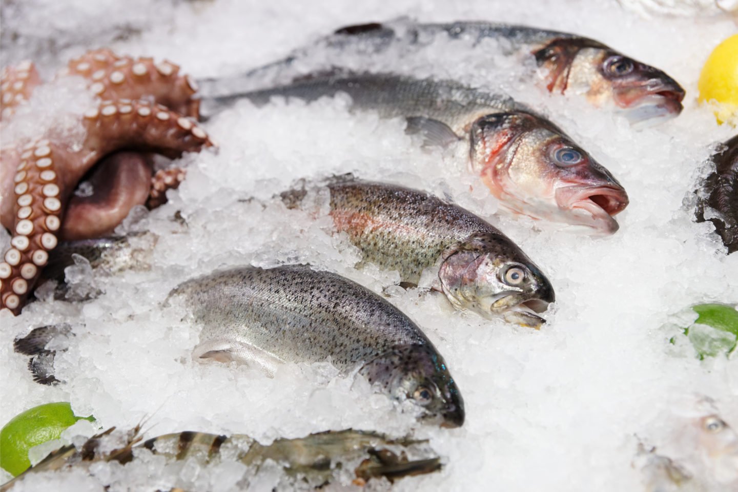 Rainbow Trout And Other Seafood On Ice