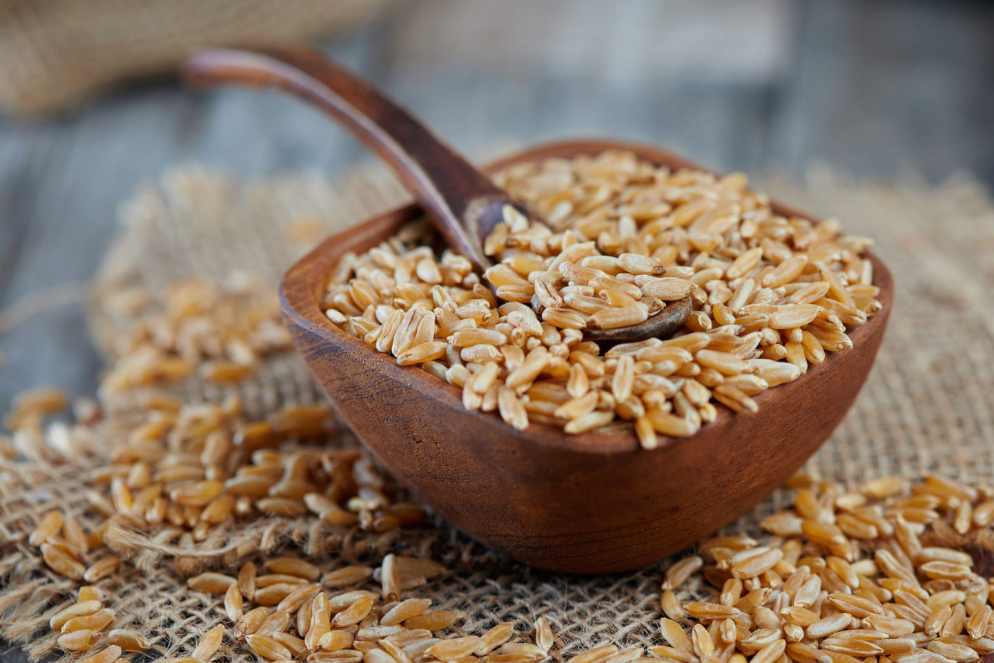 Raw Kamut In Wooden Bowl