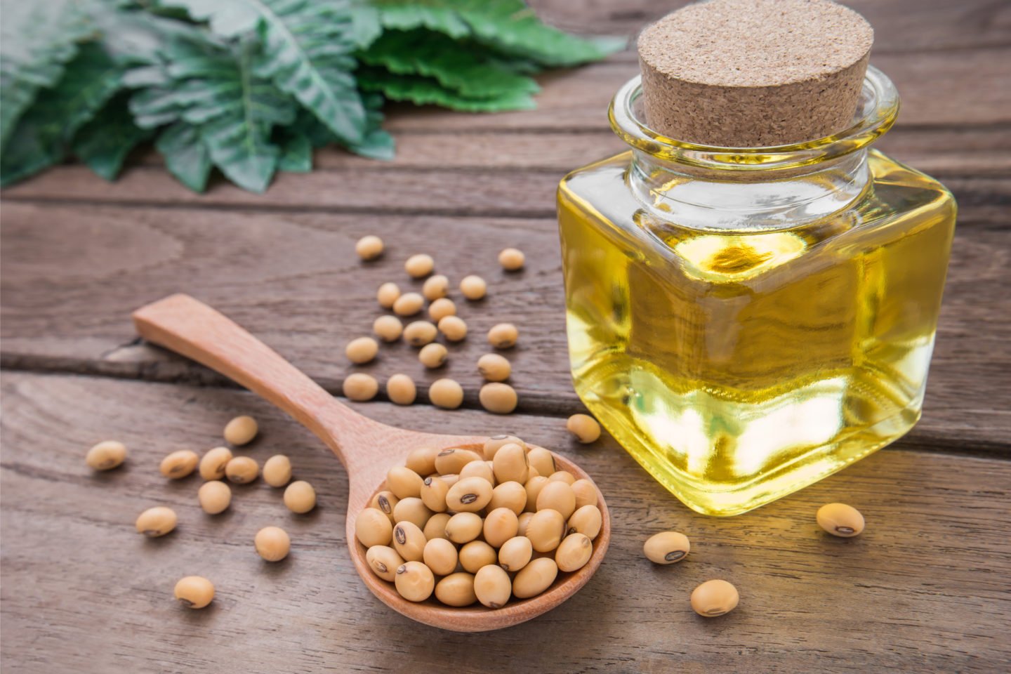 Soybean Oil In Sealed Glass Jar