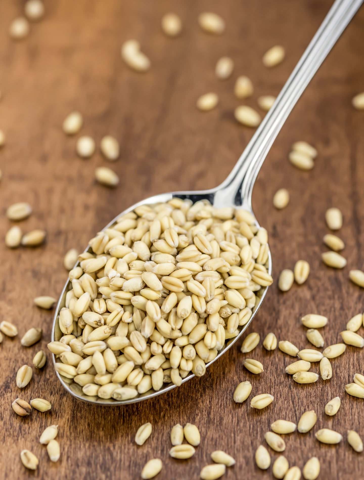 Spoonful Of Raw Wheat Berries