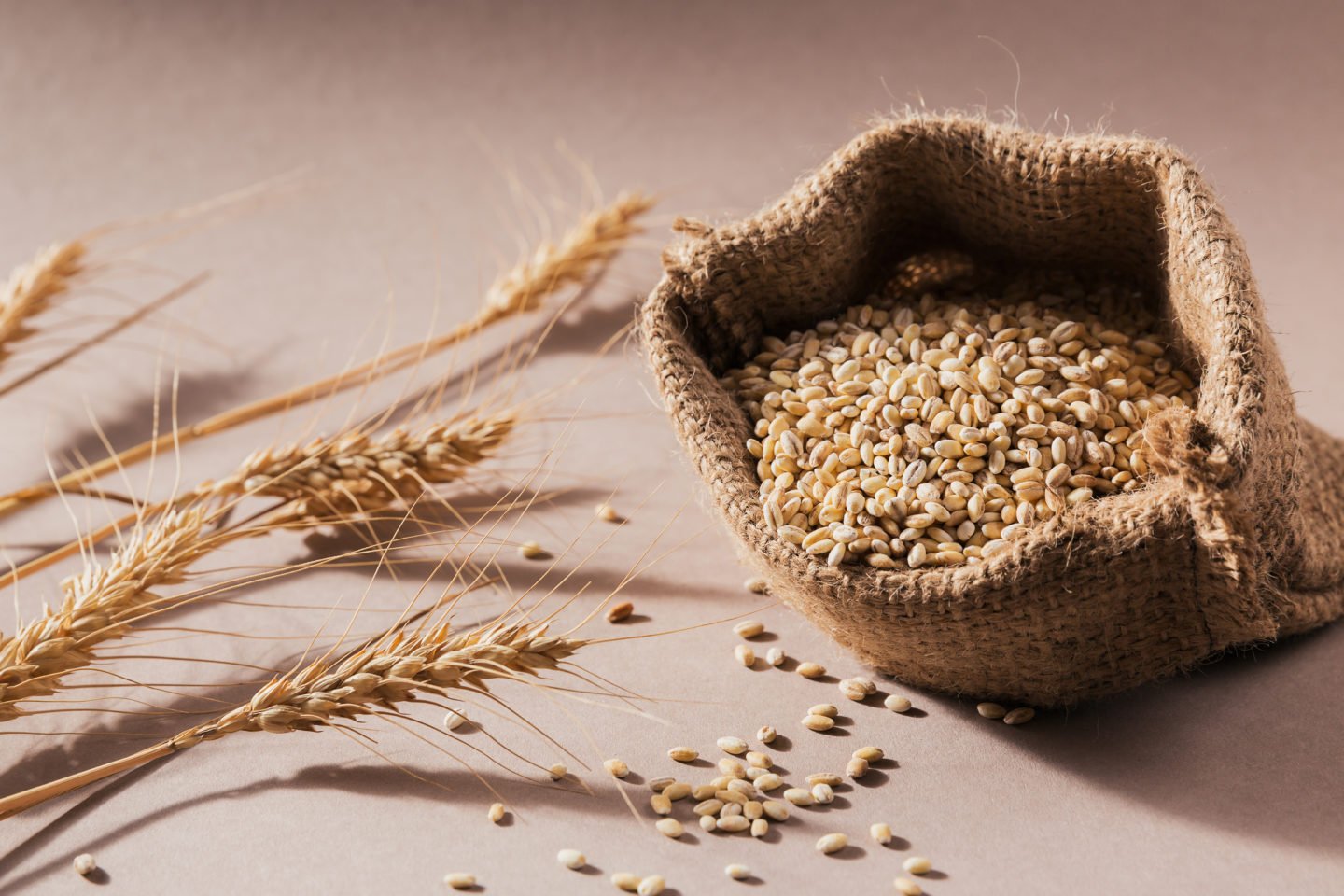 Uncooked Barley Grains In Small Burlap Sack