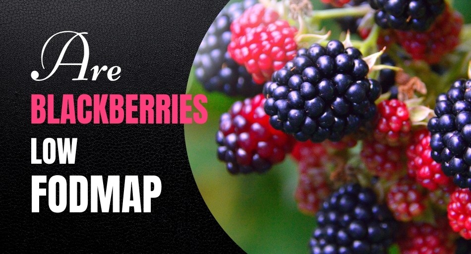 Are Blackberries Low FODMAP? (Surprising Facts?)