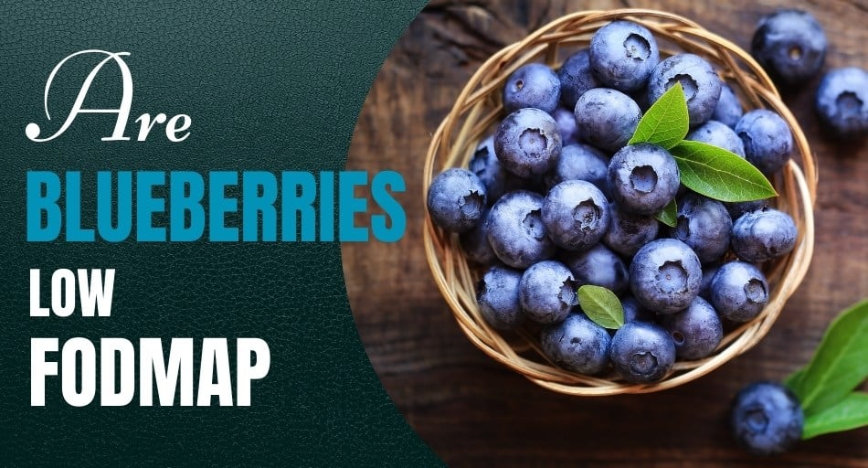 Are Blueberries Low FODMAP?