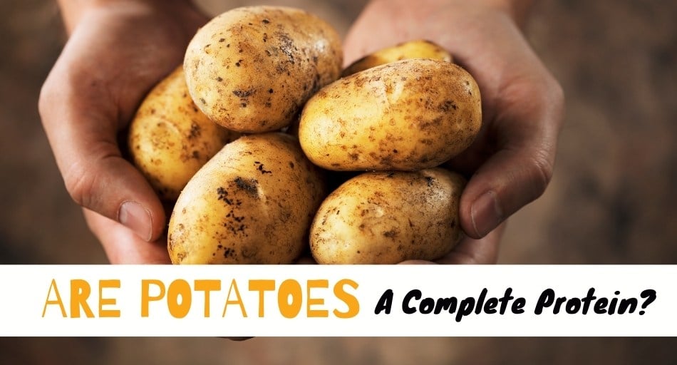Are Potatoes A Complete Protein