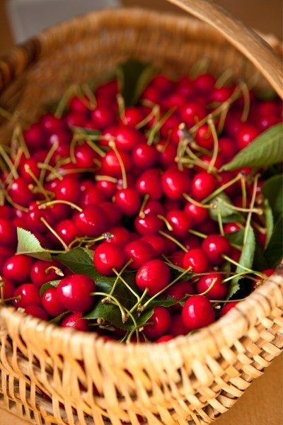 Are cherries good for you?