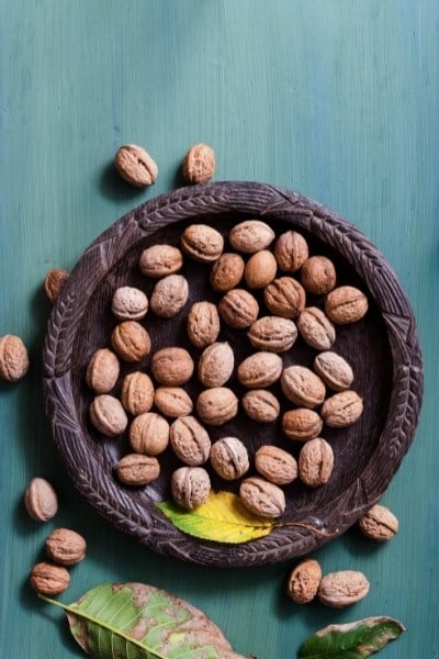 Are walnuts good for you?