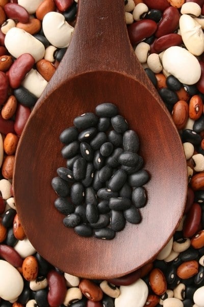 Can you eat black beans on a low FODMAP diet?
