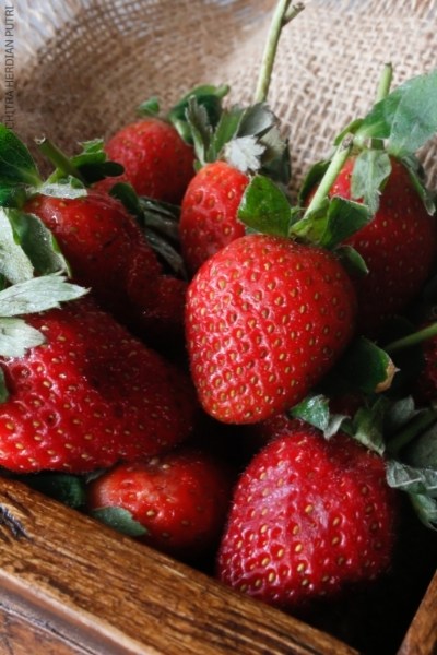 How low in FODMAPs are strawberries?