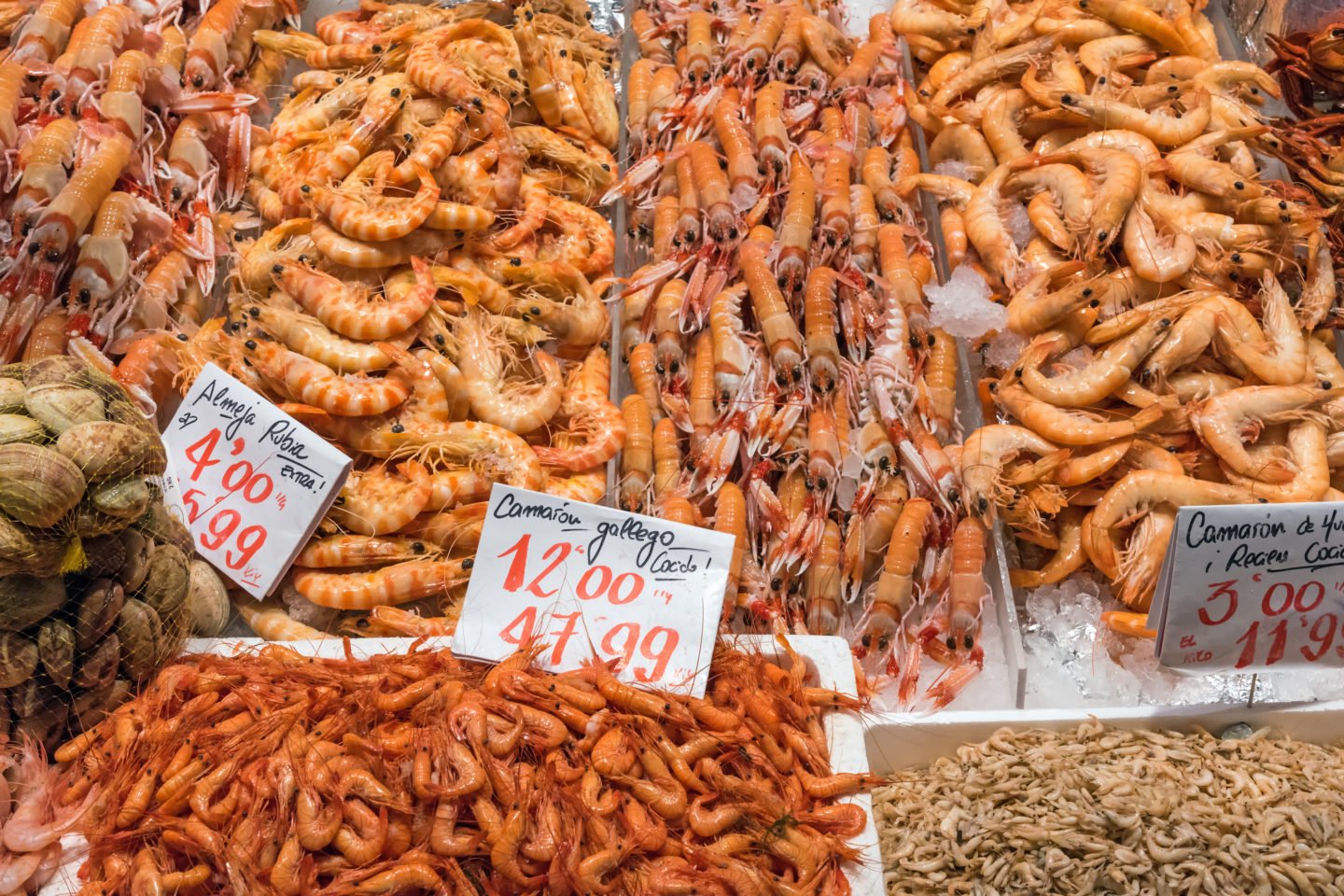 Different Kinds Of Shrimp