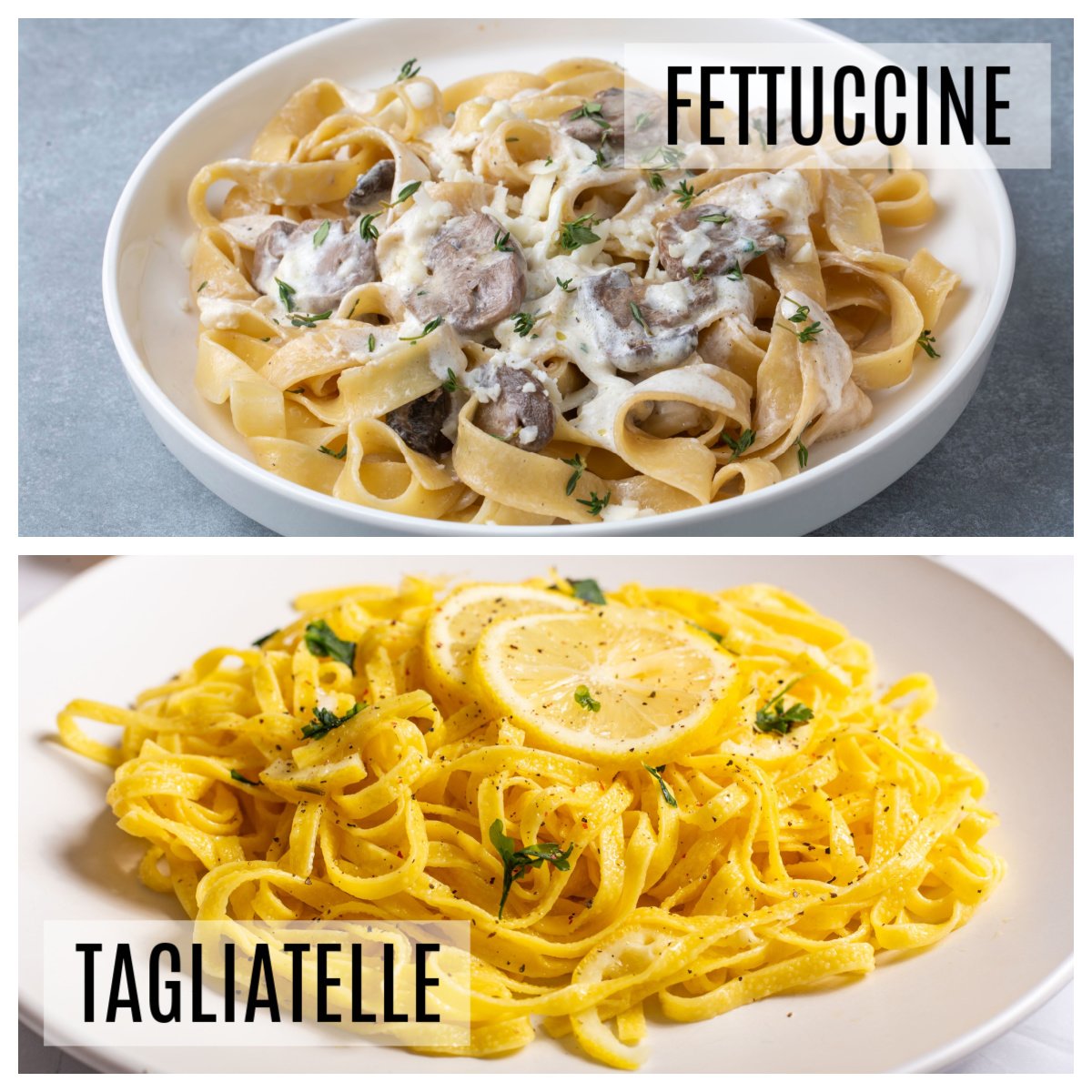 fettuccine versus tagliatelle pasta differences