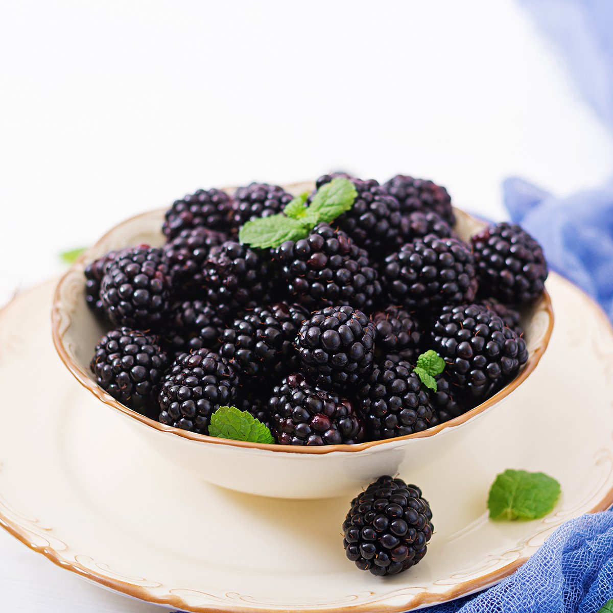 Are Blackberries Low FODMAP? Tastylicious