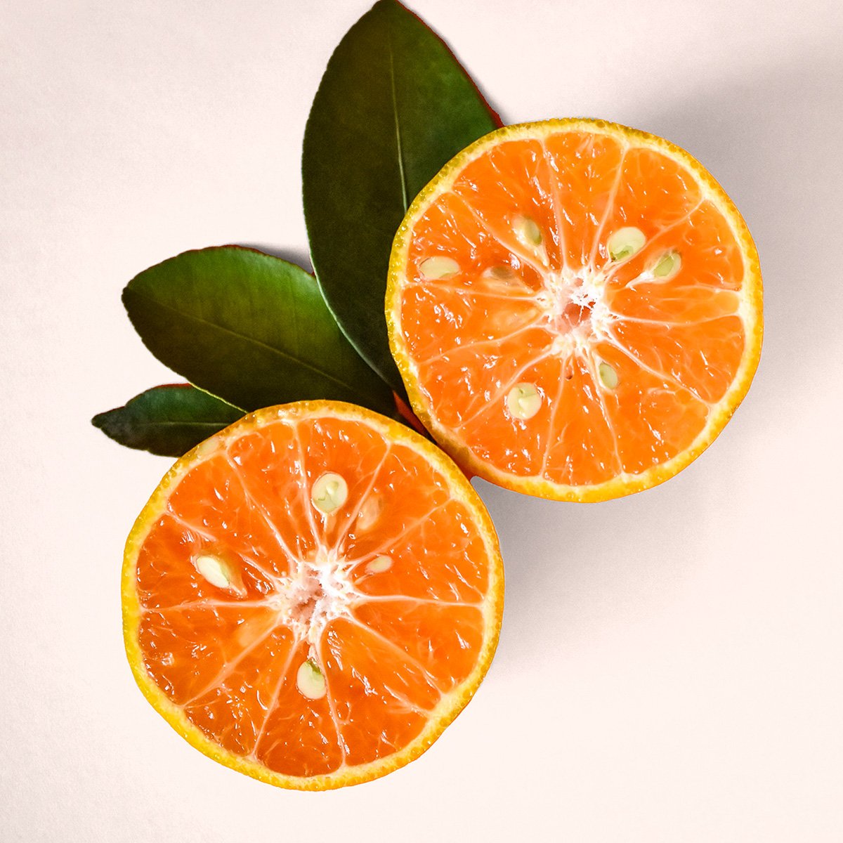Are Oranges Low FODMAP? Tastylicious
