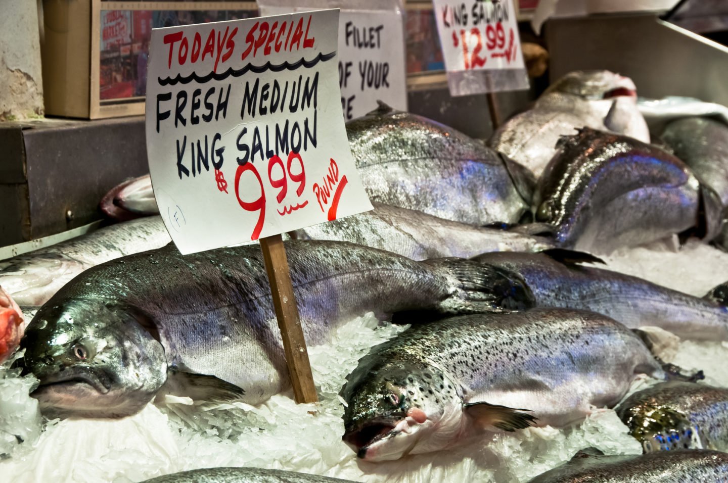 Fresh Salmon In The Market