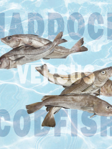 Haddock vs. Cod: Which is better?