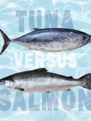 Tuna vs. Salmon: All Their Differences