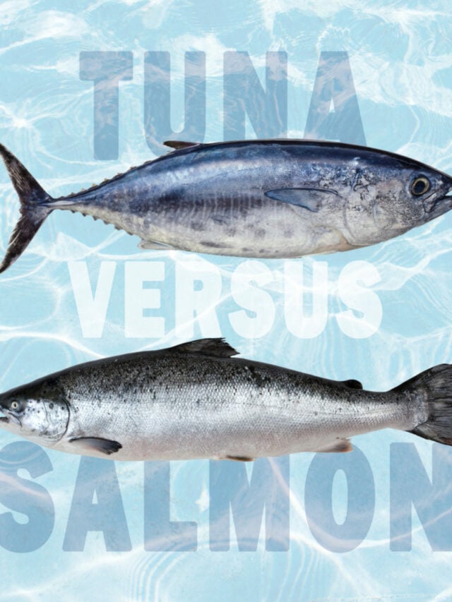 Does Tuna Cause Heartburn? - Tastylicious