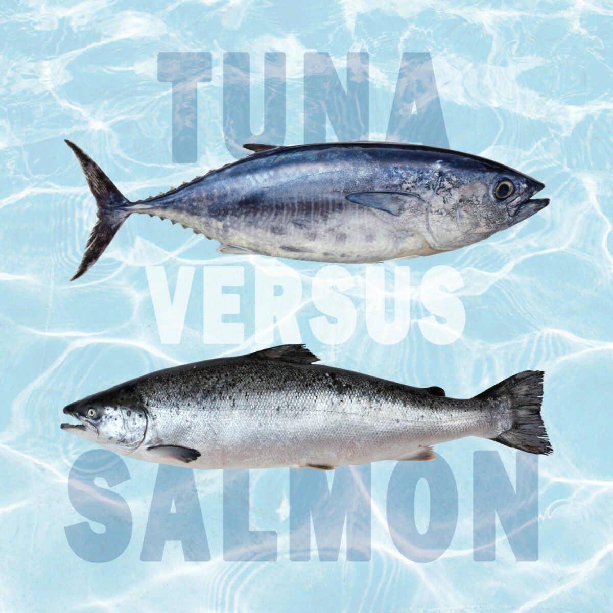 tuna vs salmon differences