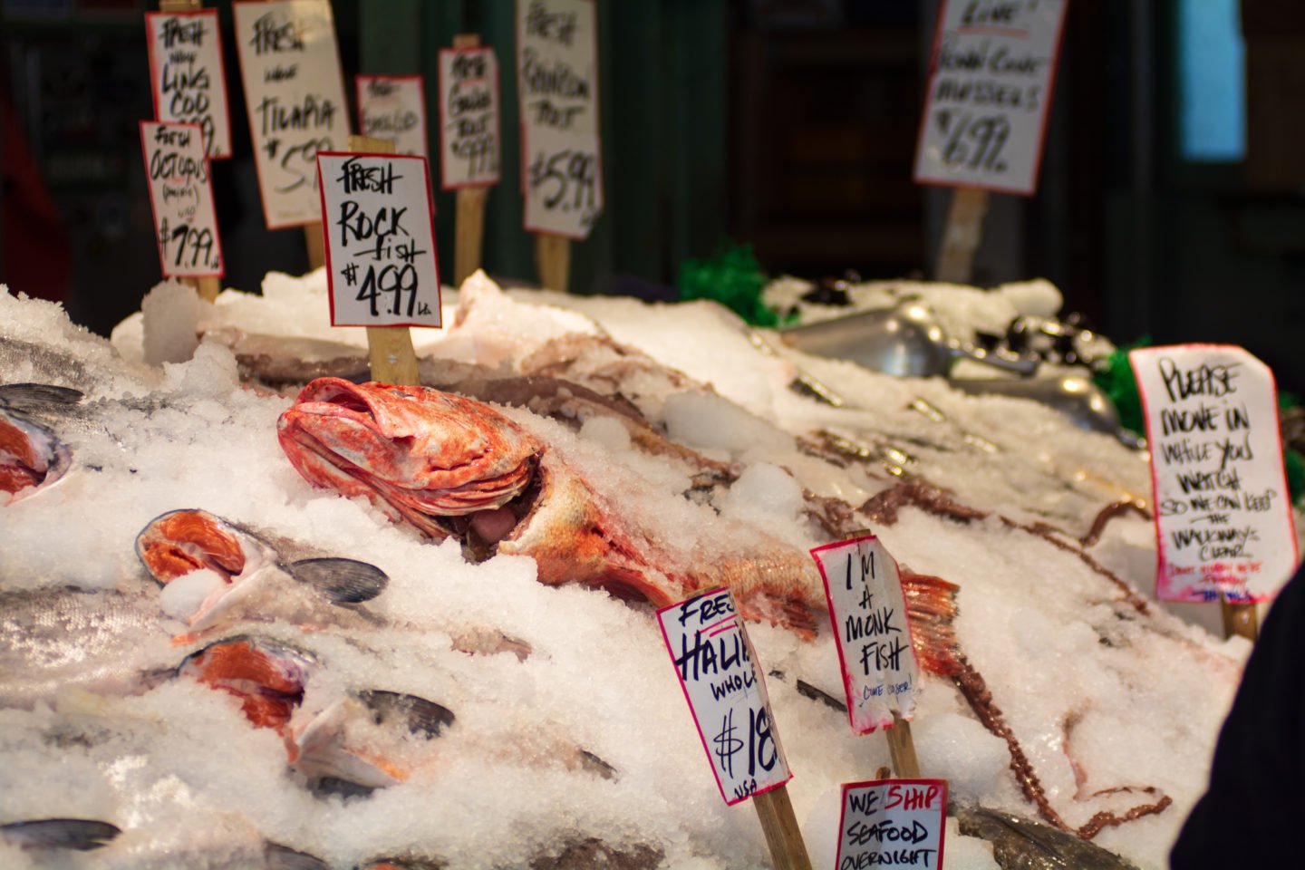 Various Fish For Sale At Market