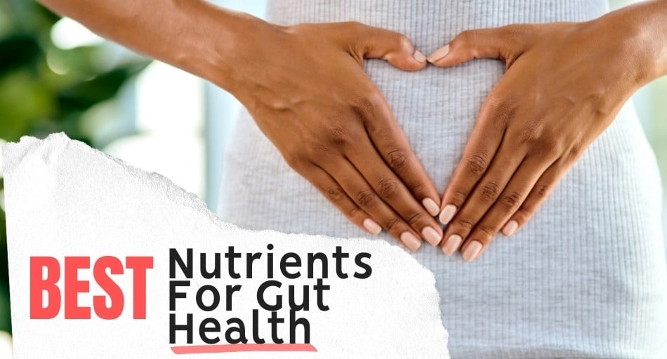 Best Nutrients For Gut Health