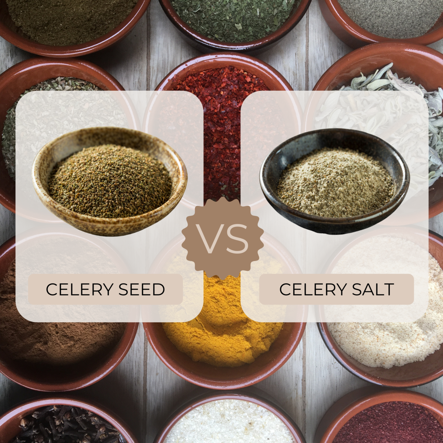 celery seed vs celery salt side by side