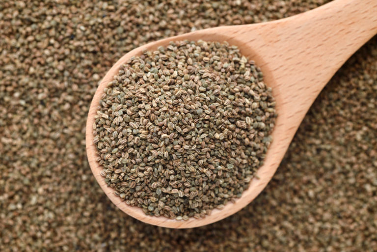 Celery Seed vs Celery Salt Tastylicious